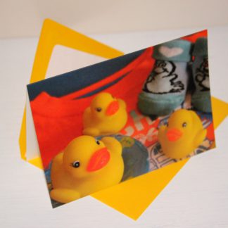 Quitschänte